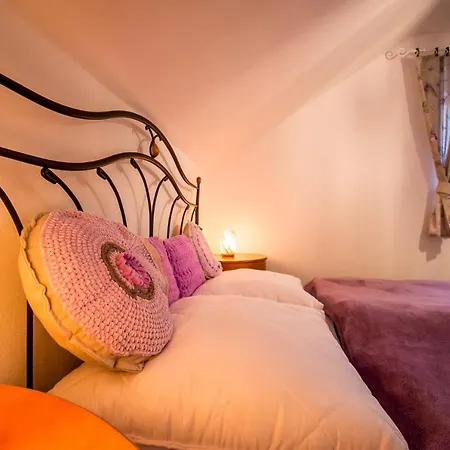 Levander Apartment